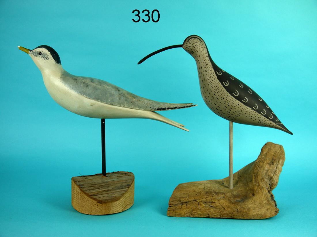 TWO SHOREBIRDS (1 of 2)