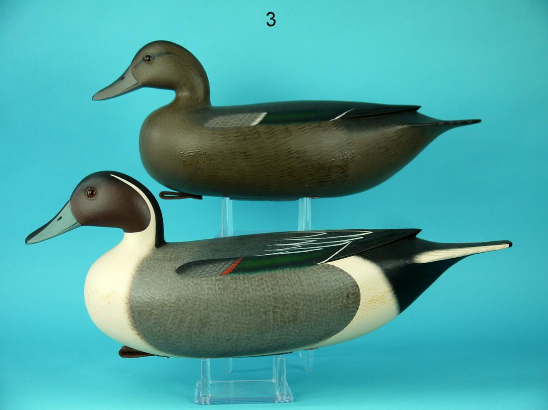PINTAIL PAIR, F.C. BROWN, JR. (1 of 4)