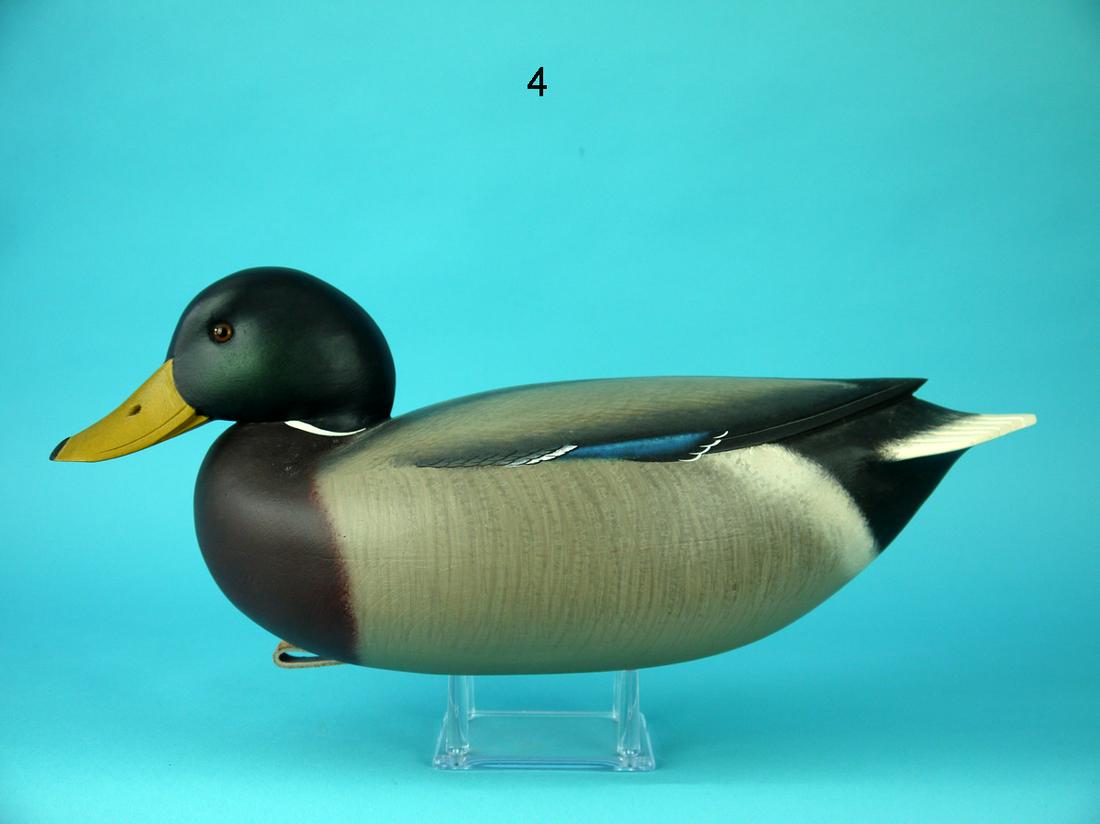MALLARD DRAKE, F.C. BROWN, JR. (1 of 4)