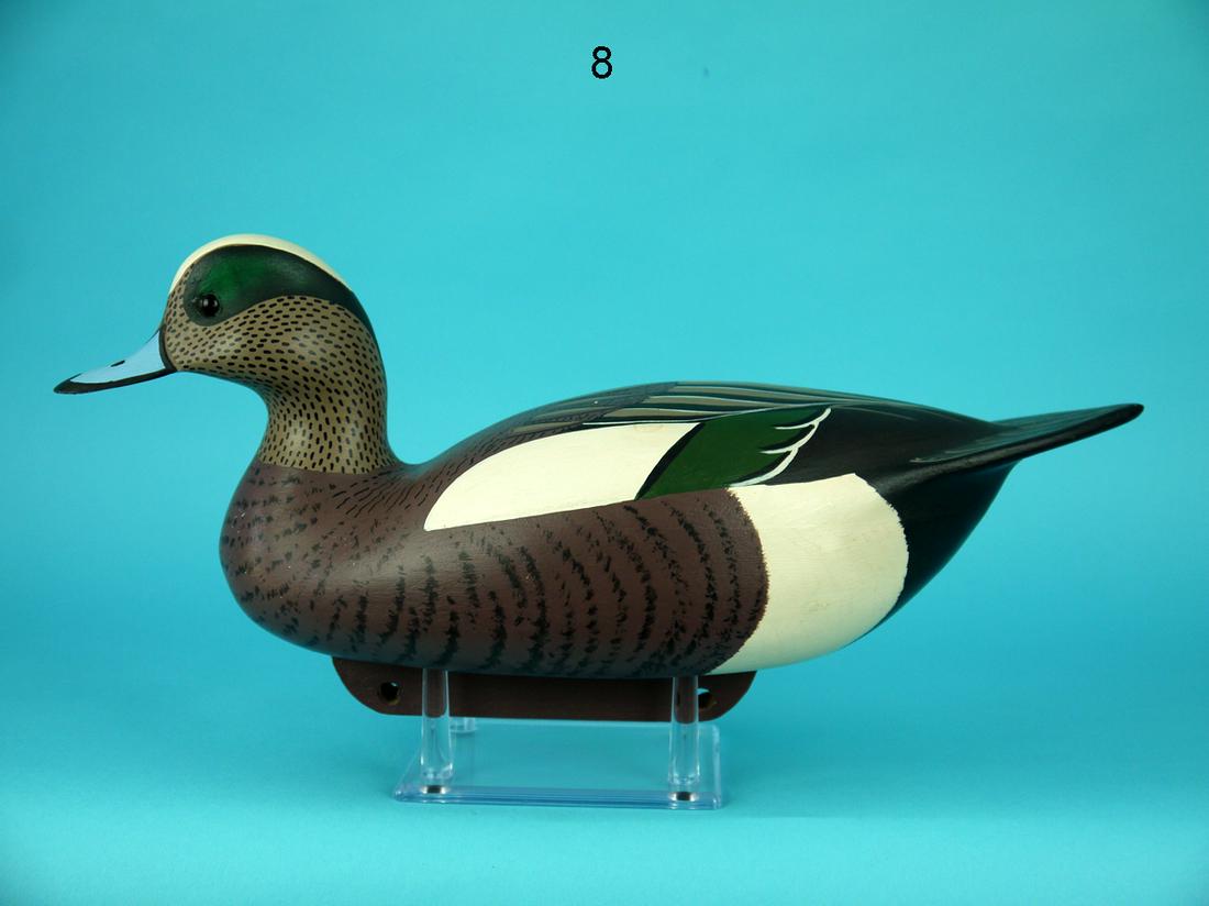 WIGEON DRAKE, C. ALLSOPP (1 of 4)