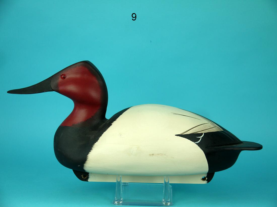 CANVASBACK DRAKE, C. ALLSOPP (1 of 4)