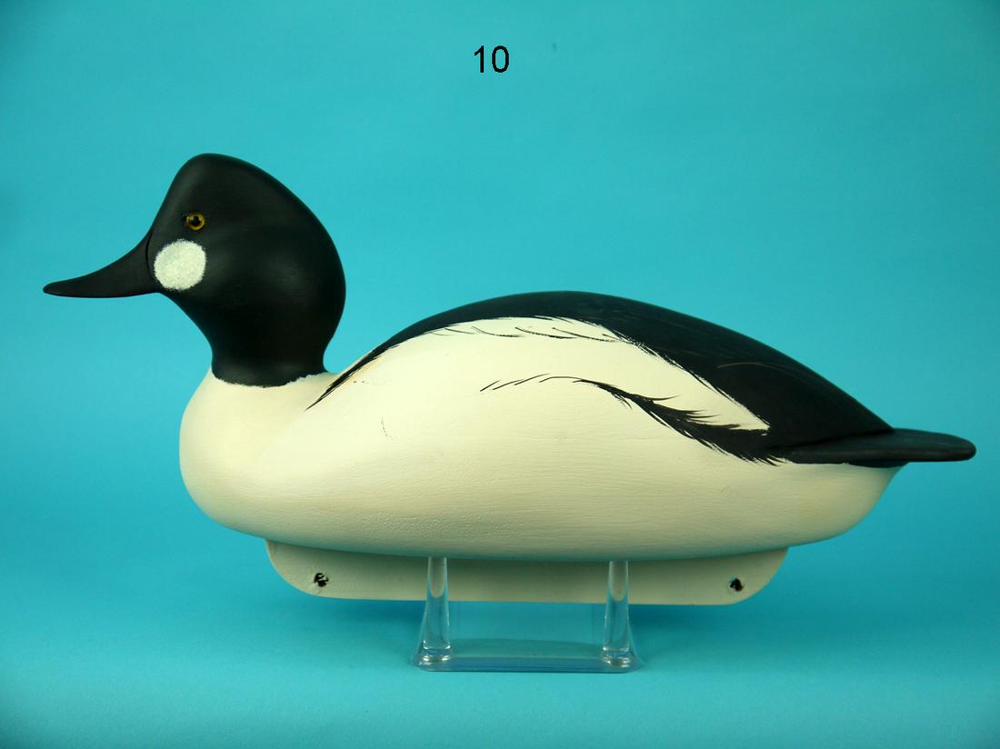 GOLDENEYE DRAKE, C. ALLSOPP (1 of 4)