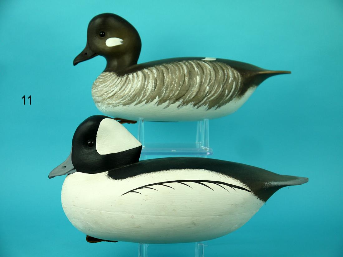 BUFFLEHEAD PAIR, J. HOLLOWAY (1 of 4)