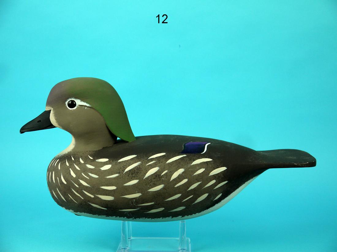 WOOD DUCK HEN, J. HOLLOWAY (1 of 4)