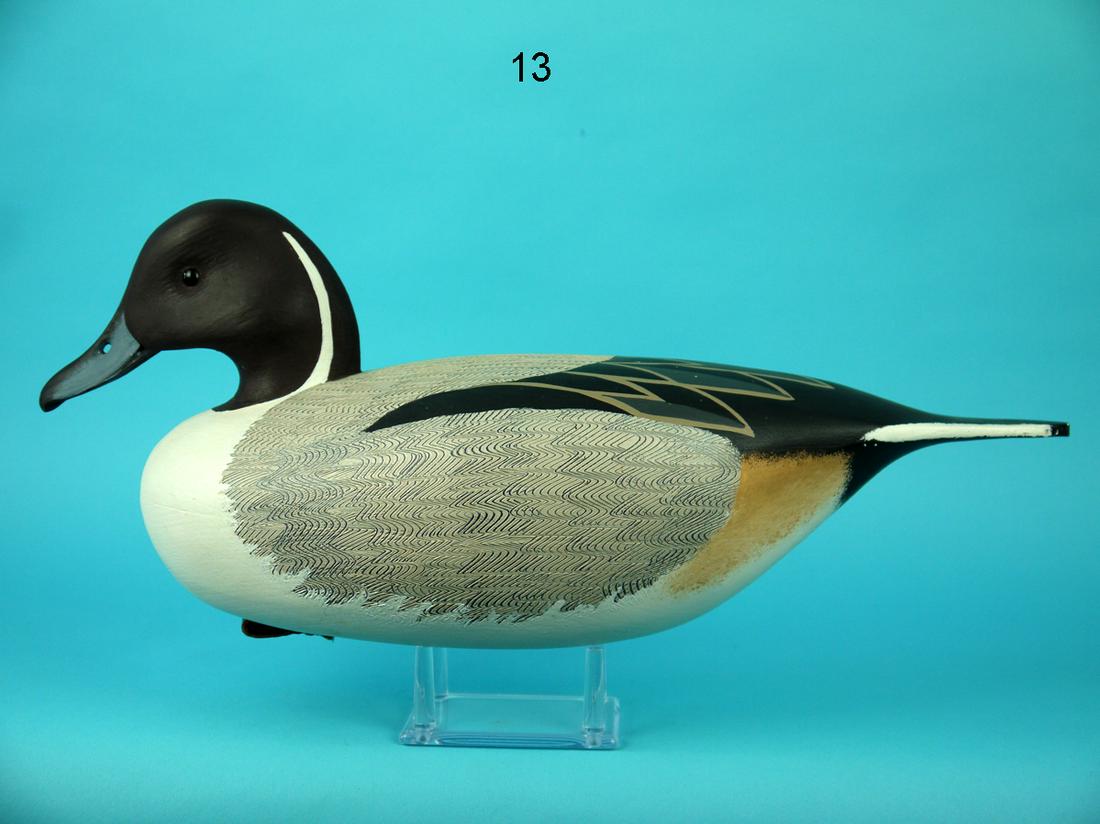 PINTAIL DRAKE, J. HOLLOWAY (1 of 4)