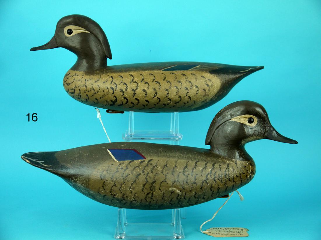 TWO WOOD DUCK HENS, J. HAMILTON (1 of 4)