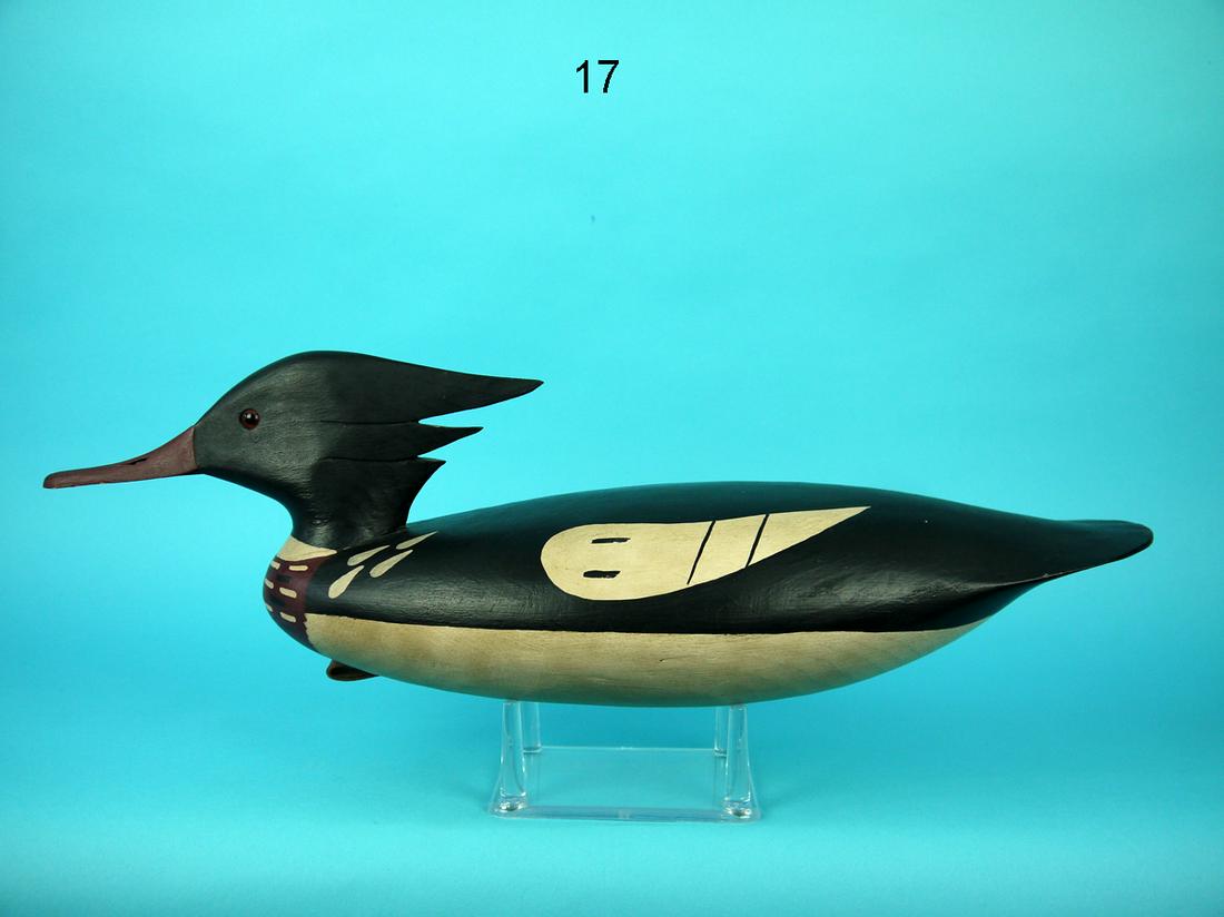 RED-BREASTED MERGANSER DRAKE, J. HAMILTON (1 of 4)