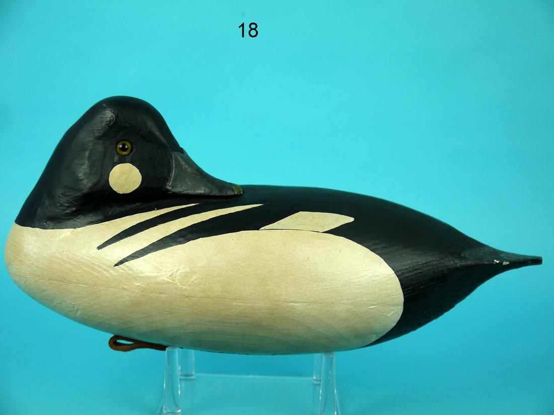 GOLDENEYE DRAKE, J. HAMILTON (1 of 4)