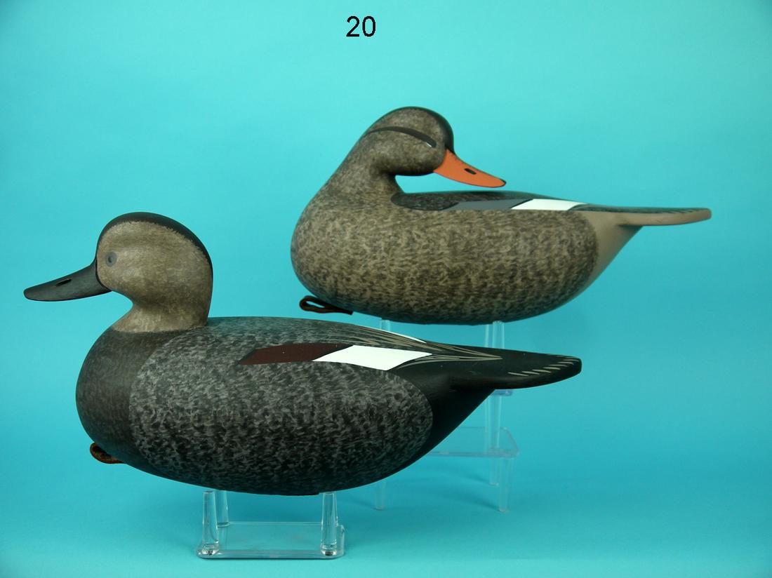 GADWALL PAIR,  D. BURNS (1 of 4)