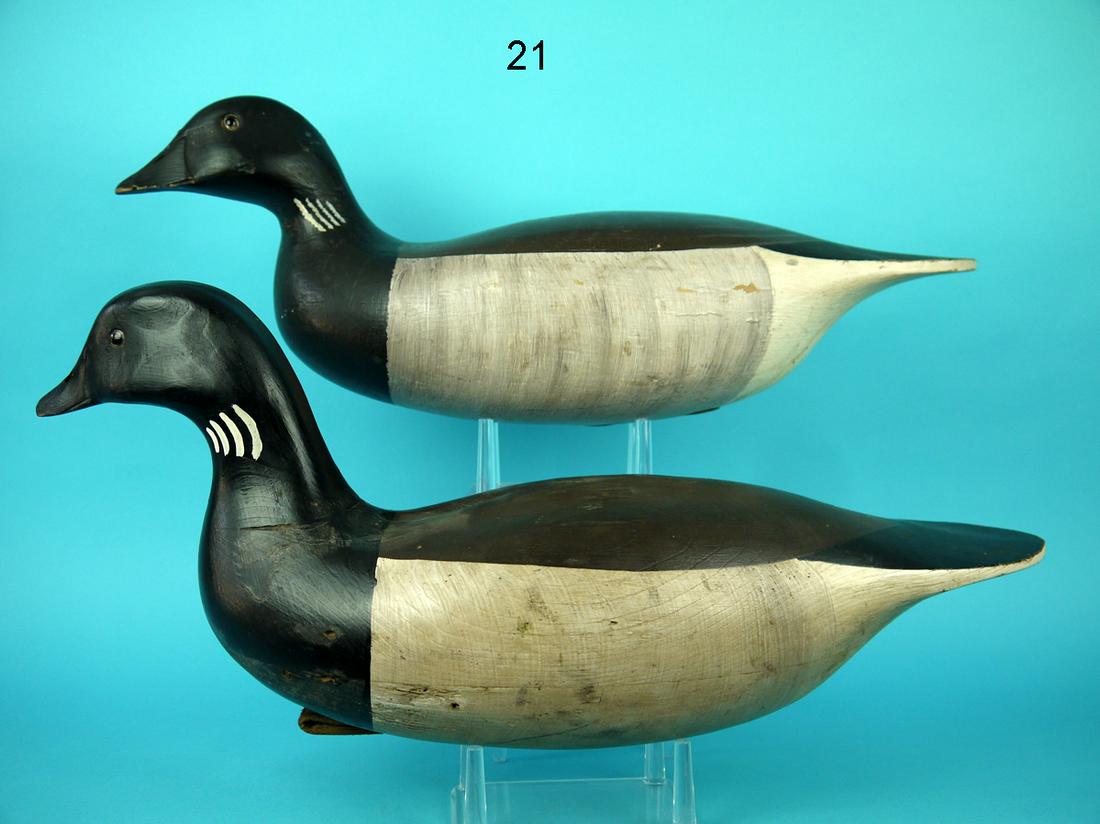 TWO BRANT, W. OLER (1 of 4)