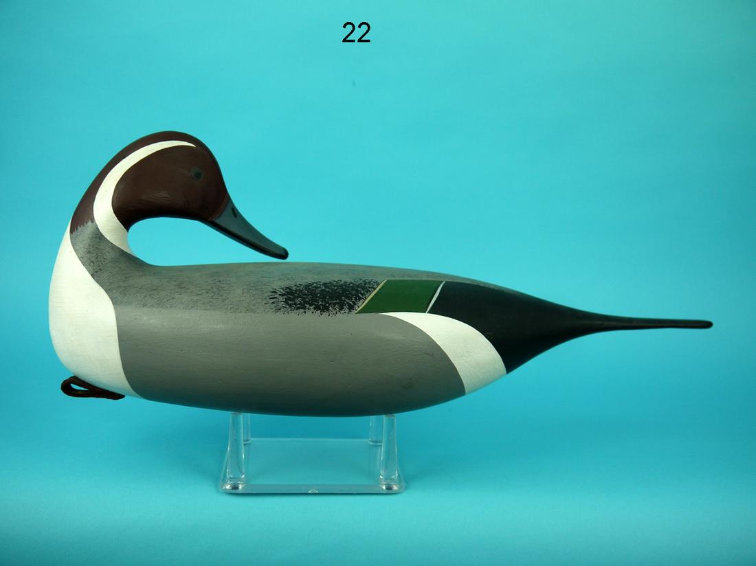 PREENING PINTAIL DRAKE, J.P. HAND (1 of 4)