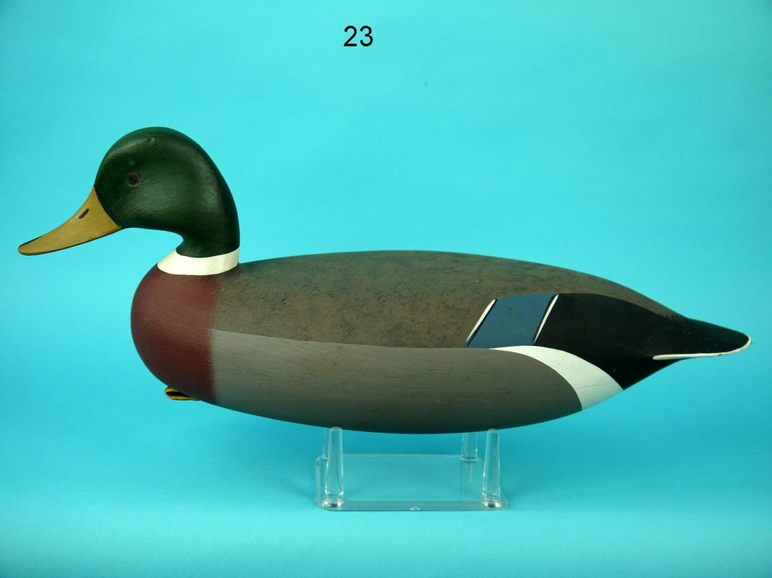 MALLARD DRAKE, J.P. HAND (1 of 4)