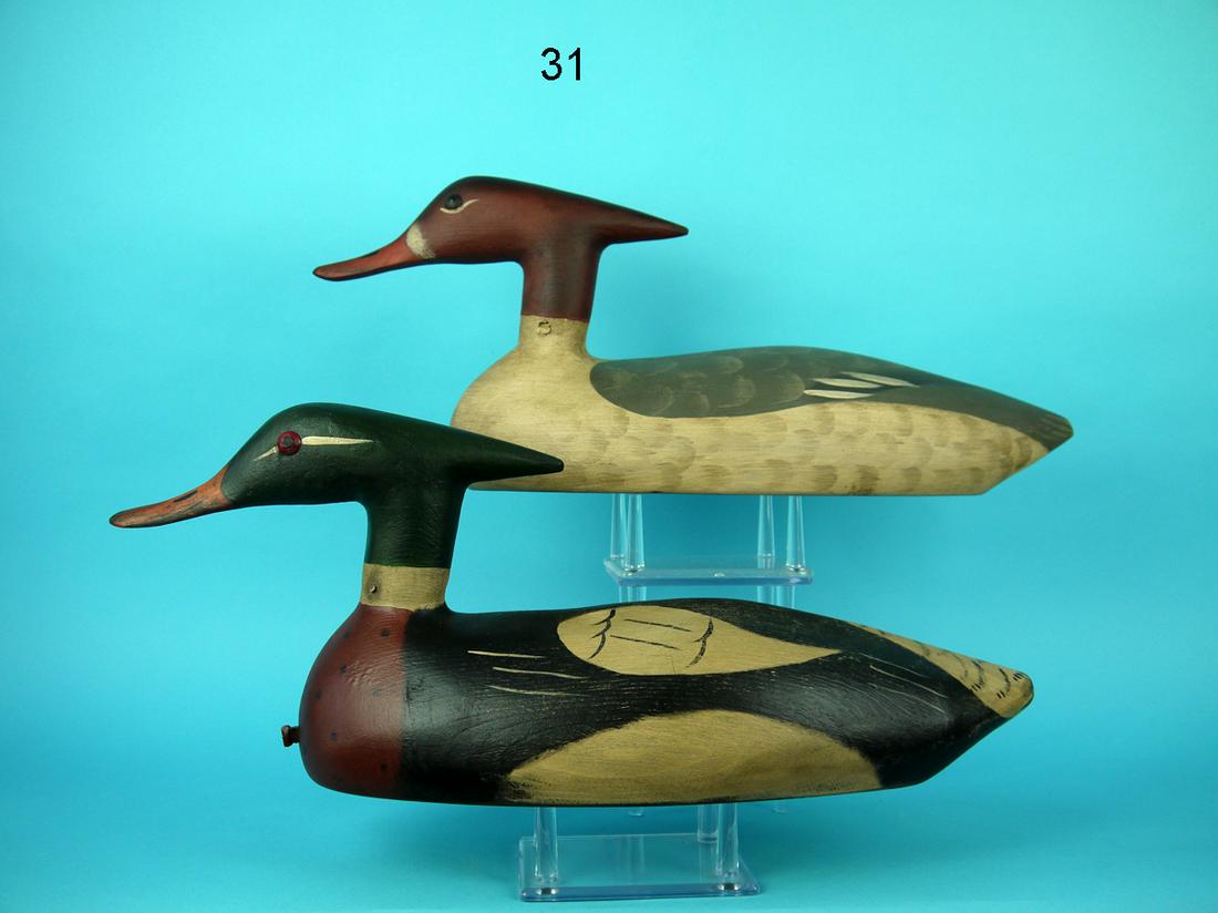 RED-BREASTED MERGANSER PAIR, W.M. WESTBROOK (1 of 4)