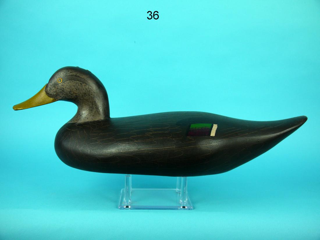 BLACK DUCK, CAPT. H. JOBES (1 of 4)