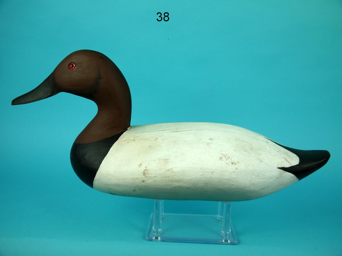 CANVASBACK DRAKE, W. RUE (1 of 4)
