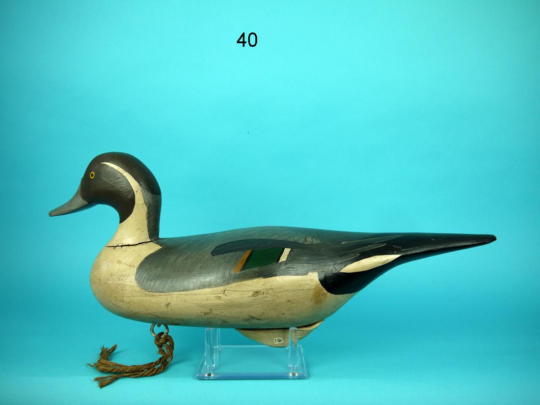 PINTAIL DRAKE. R.M. MITCHELL (1 of 4)