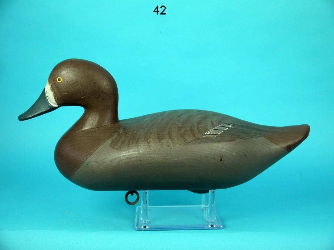 BLUEBILL HEN, UPPER BAY, MD (1 of 4)