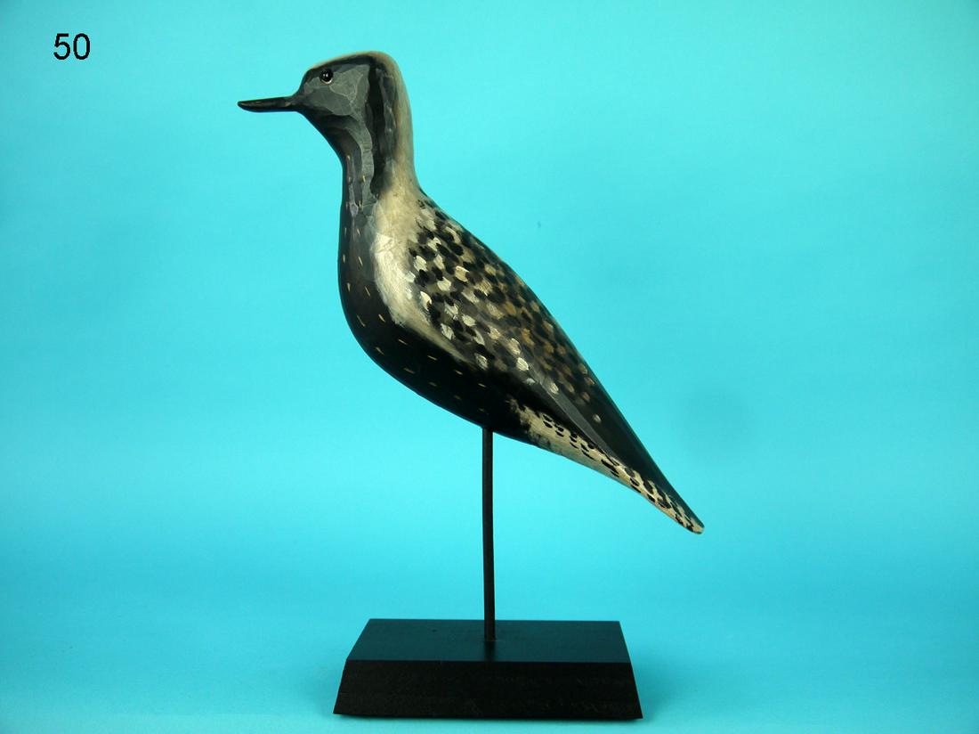 BLACK-BELLIED PLOVER, E.J. PETERSON (1 of 2)