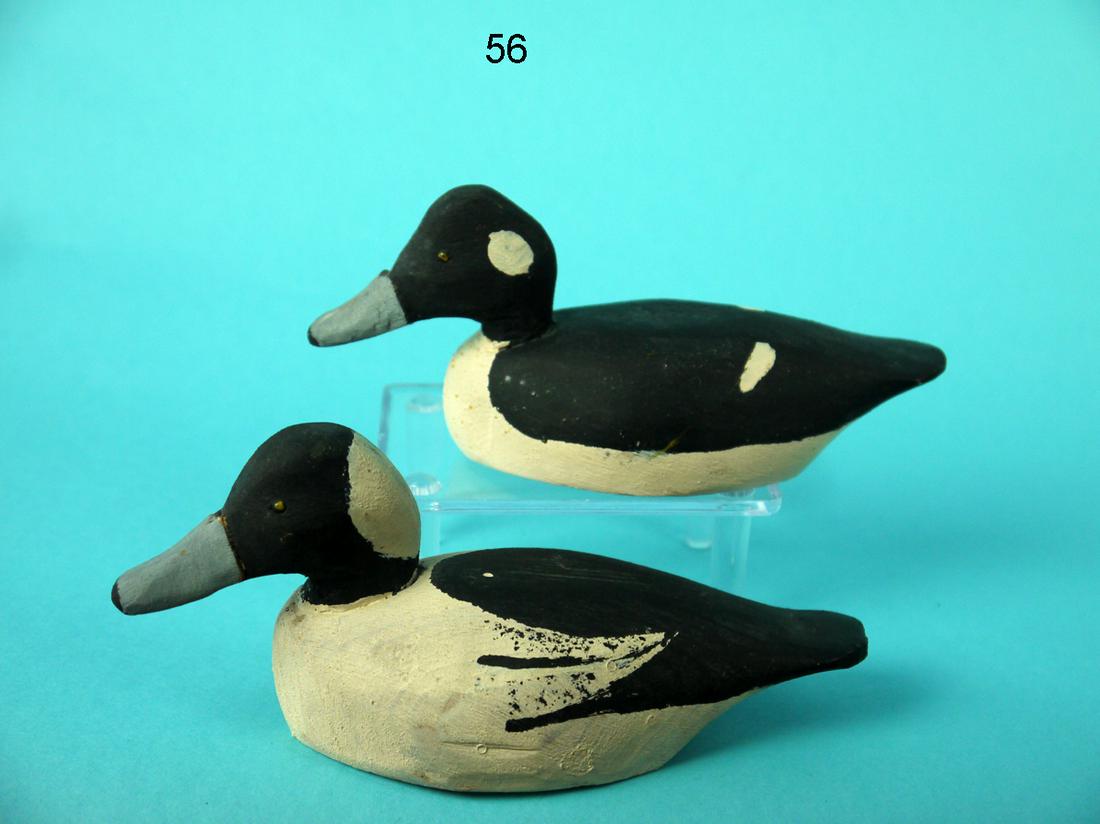 MINIATURE BUFFLEHEAD PAIR, M. HANCOCK (1 of 4)