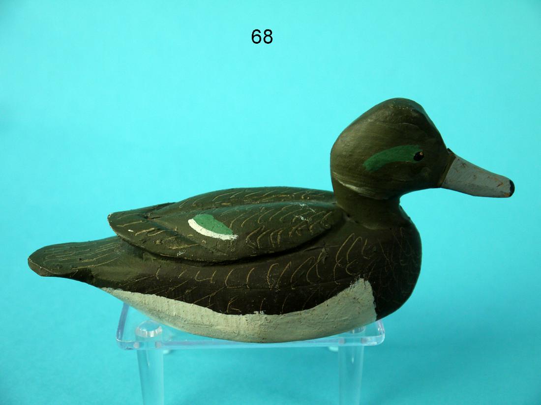 MINIATURE WIGEON HEN, M. HANCOCK (1 of 4)