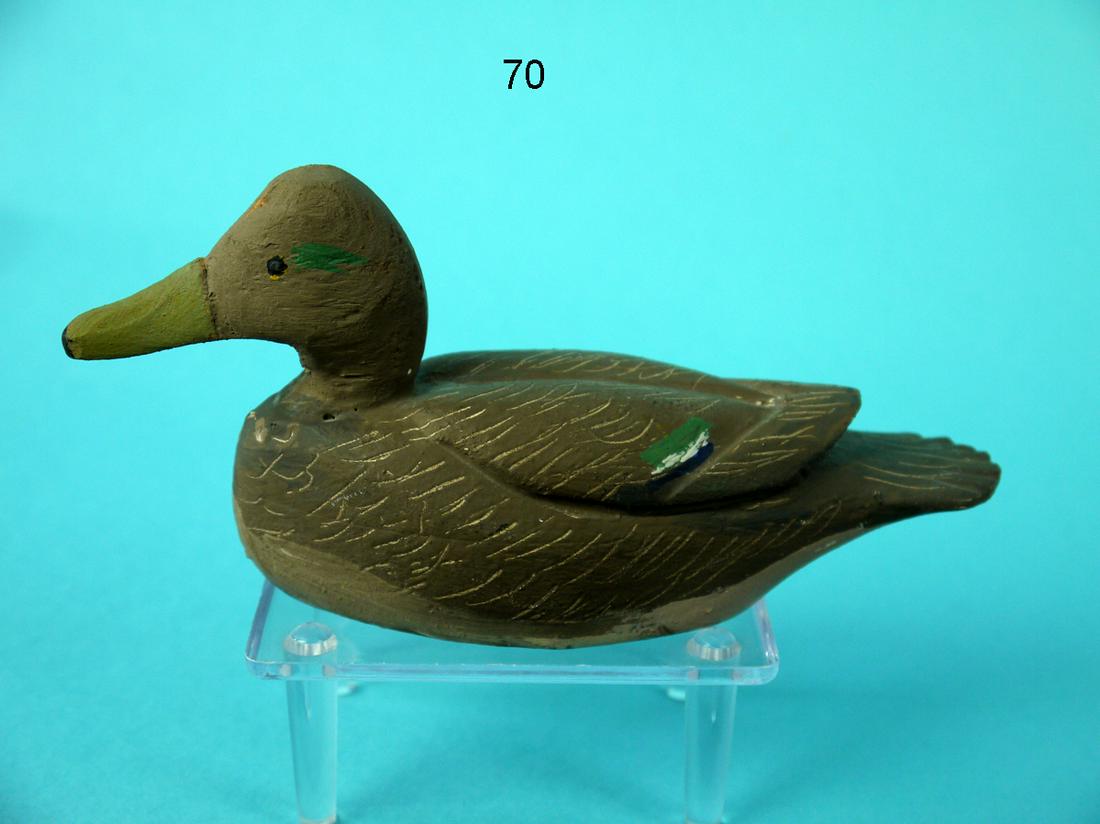 MINIATURE GADWALL HEN, M. HANCOCK (1 of 4)