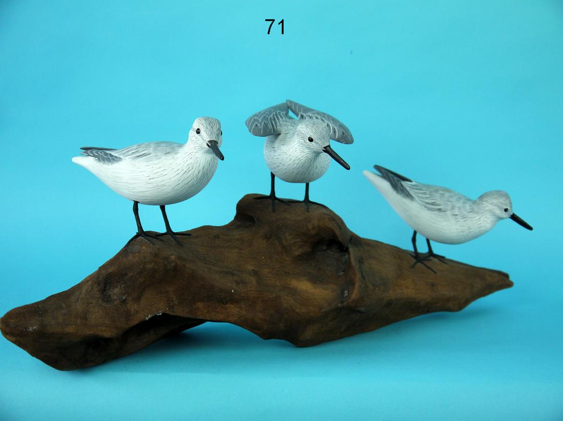 THREE SANDERLINGS, J. AND P. WATERFIELD (1 of 1)