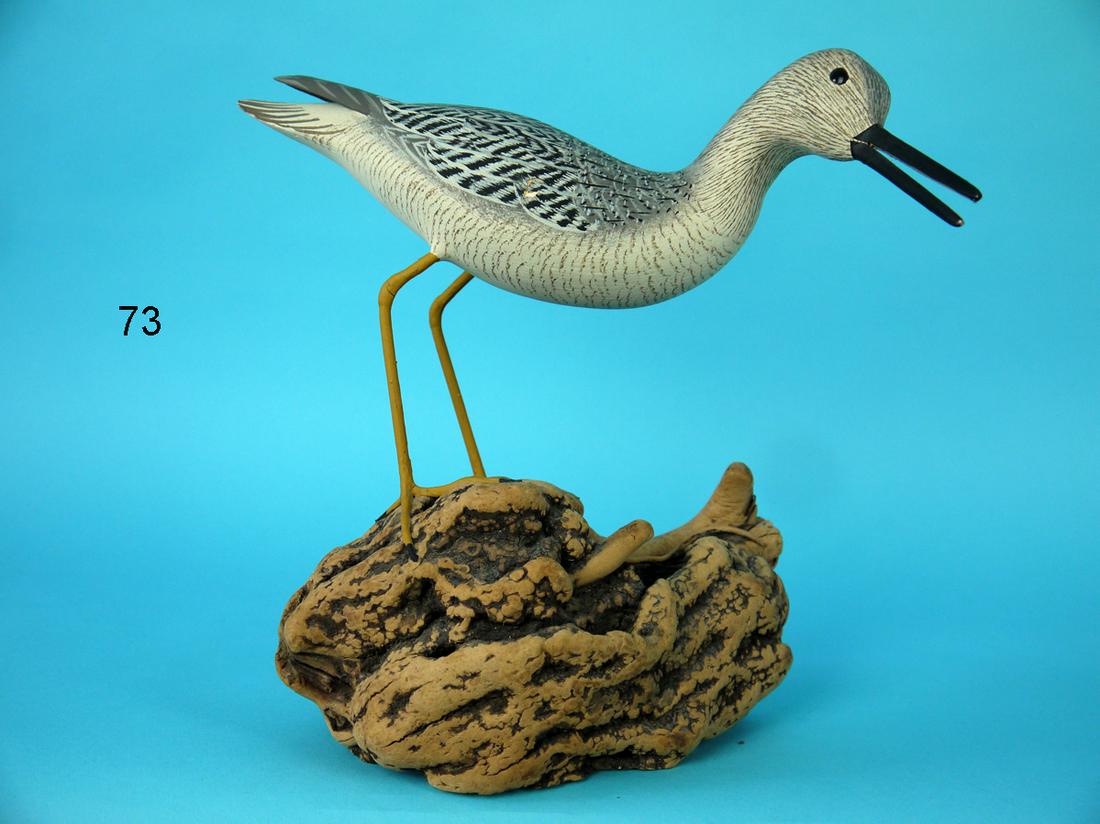 CALLING CURLEW, J. AND P. WATERFIELD (1 of 2)