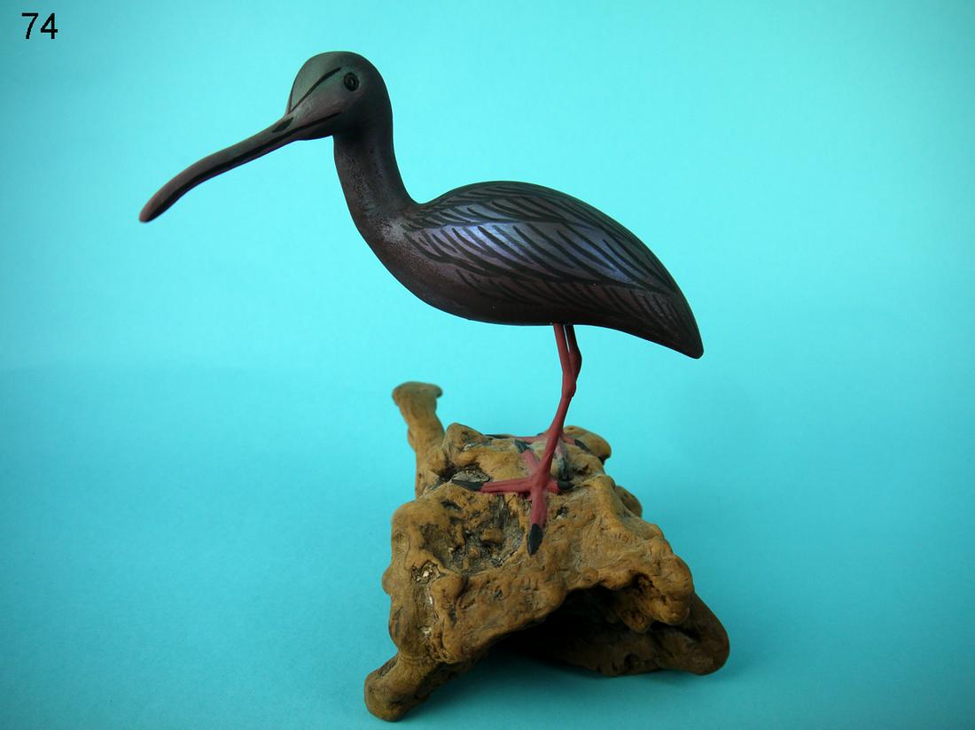 HADADA IBIS, J. AND P. WATERFIELD (1 of 2)