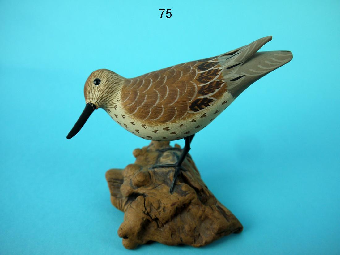DUNLIN, J. AND P. WATERFIELD (1 of 2)