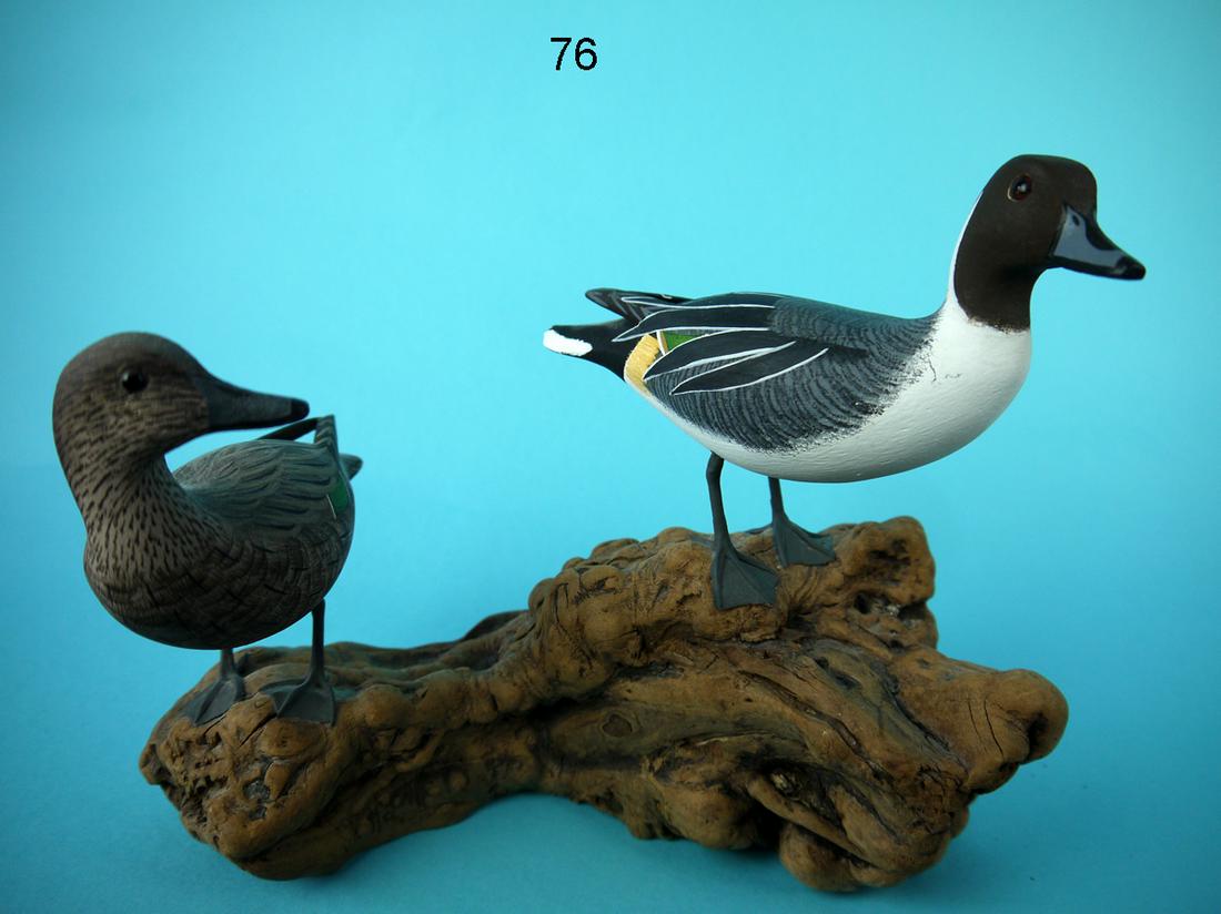 MINIATURE PINTAILS, J. AND P. WATERFIELD (1 of 2)