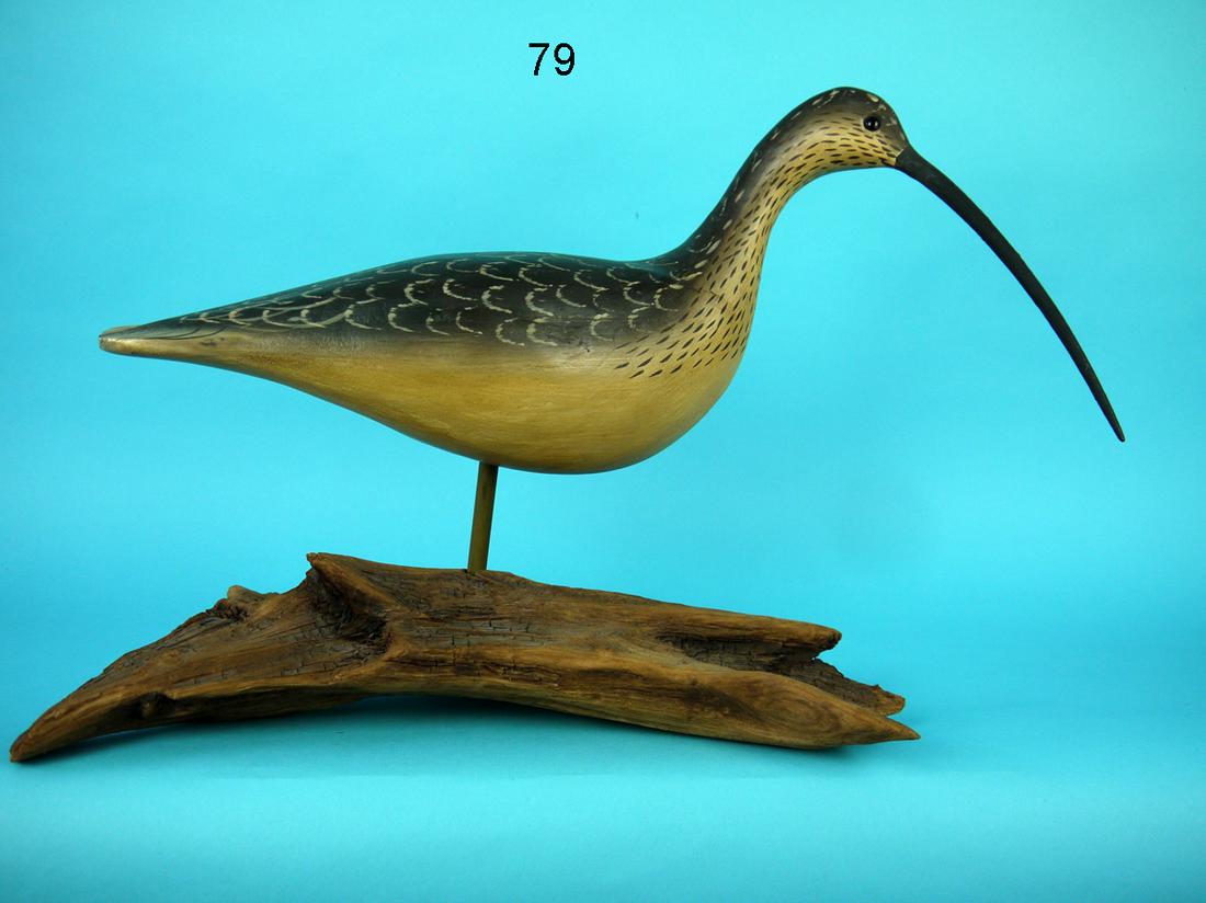 LONG-BILLED CURLEW, J. BOWDEN (1 of 2)