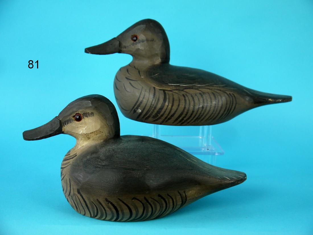 TWO RUDDY DUCK HENS, J. BOWDEN (1 of 4)