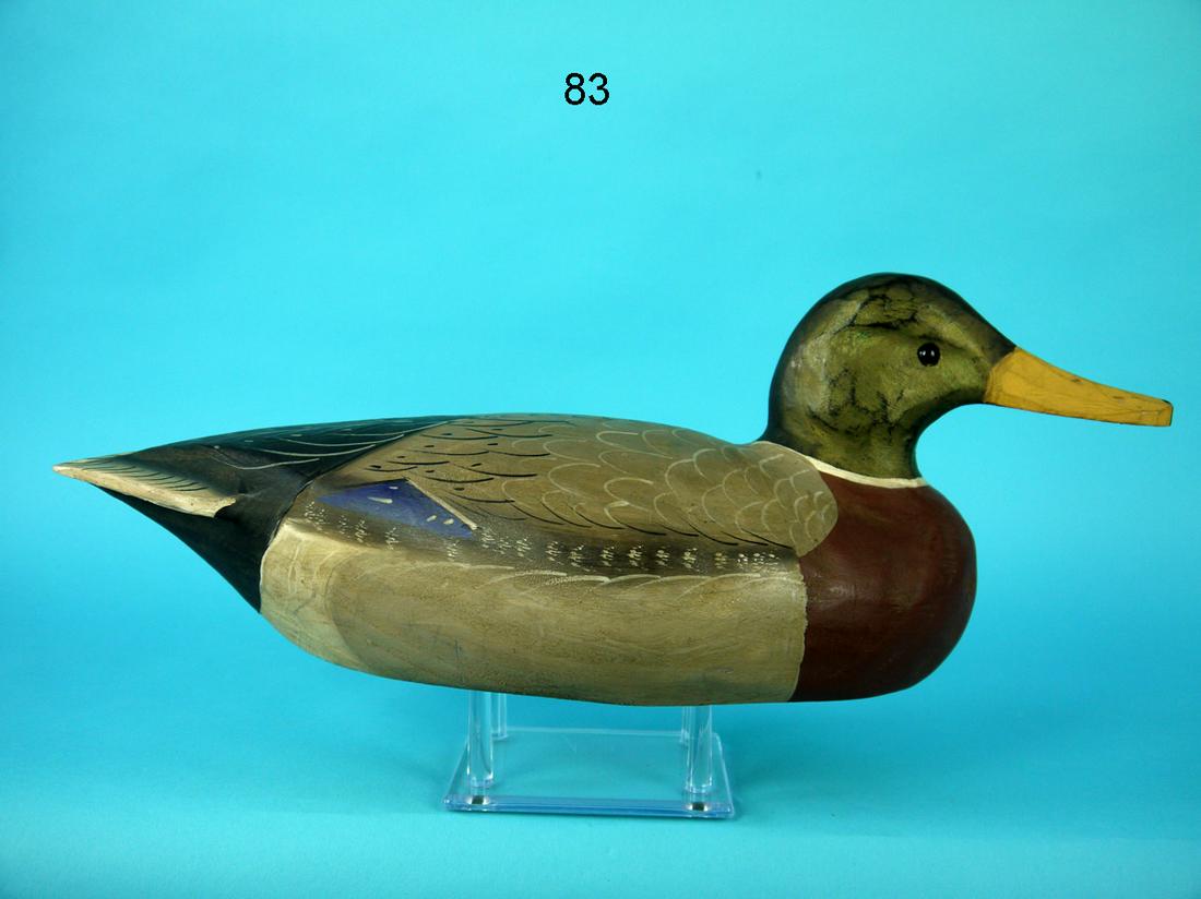 MALLARD DRAKE, J. BOWDEN (1 of 4)