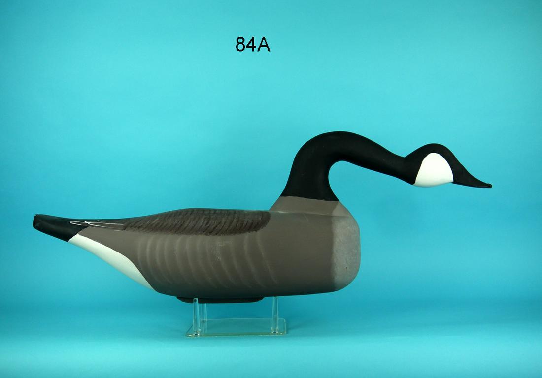 CANADA GOOSE, J. FREY (1 of 4)