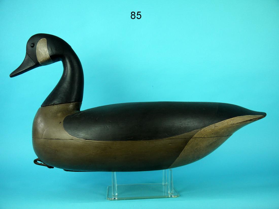 CANADA GOOSE, C. BIRCH (1 of 4)