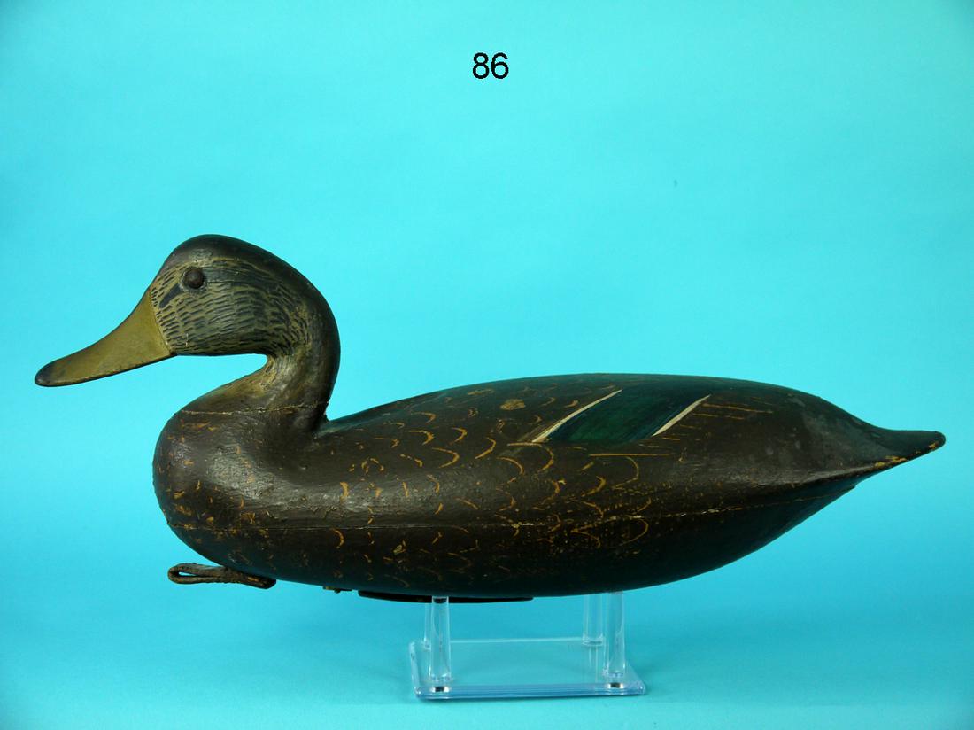 EARLY BLACK DUCK, C. BIRCH (1 of 4)