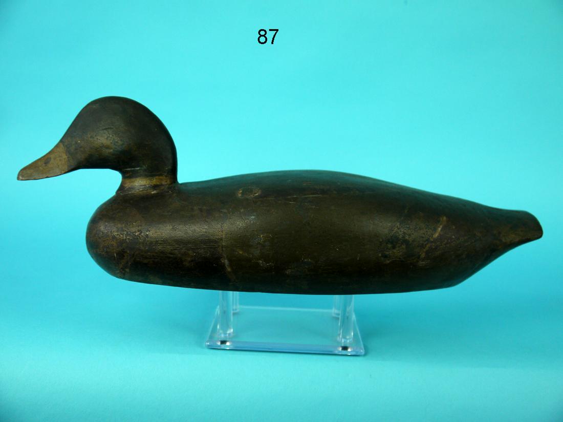 EARLY MALLARD DRAKE, VIRGINIA (1 of 4)