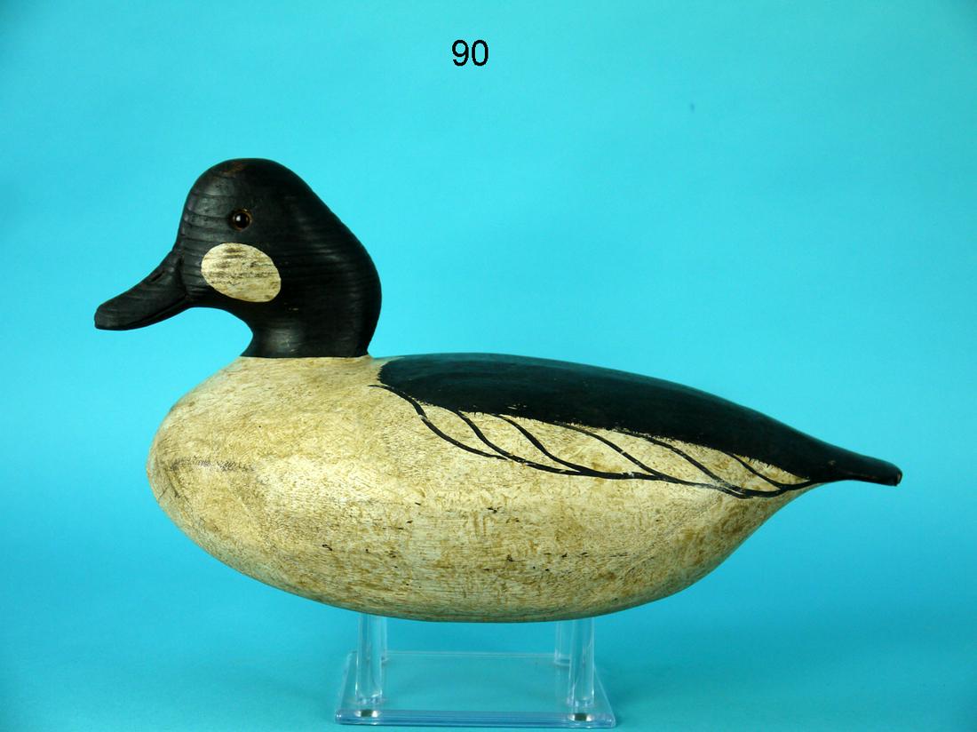 GOLDENEYE DRAKE, G. CROSSMAN (1 of 4)