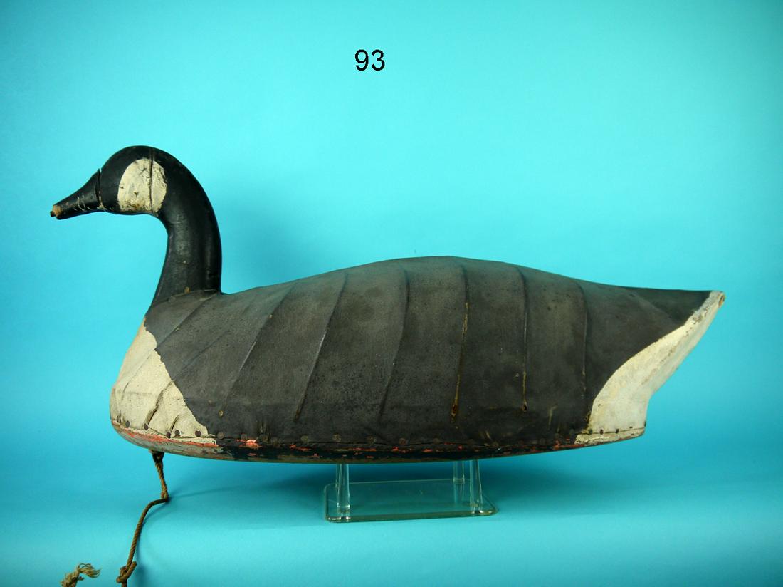 EARLY CANADA GOOSE, NORTH CAROLINA (1 of 4)