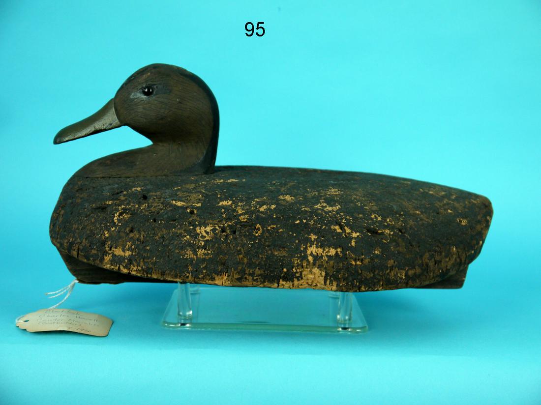 BLACK DUCK, C. HOWELL (1 of 4)