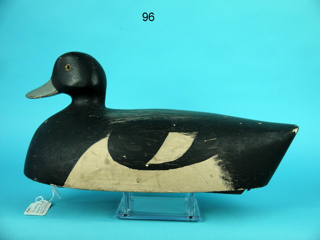 BLUEBILL DRAKE, D. TUSHENSKE (1 of 4)