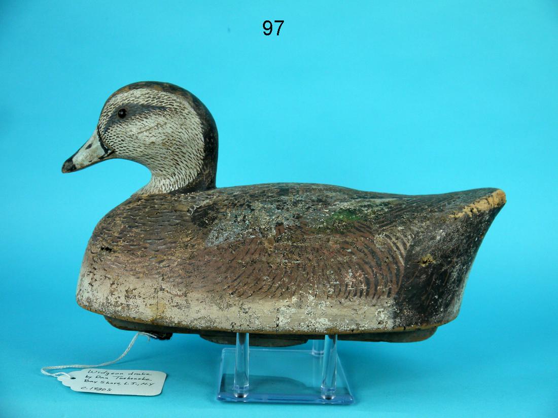 WIGEON DRAKE, D. TUSHENSKE (1 of 4)