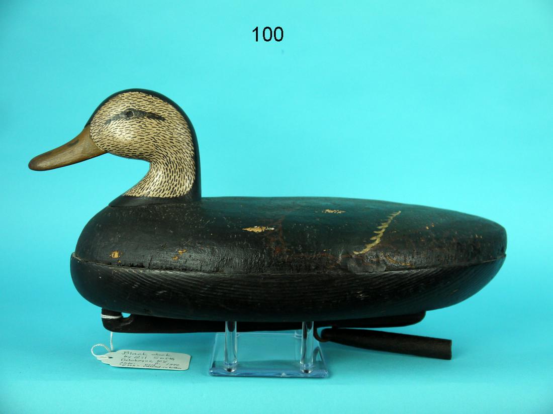 BLACK DUCK, G. SMITH (1 of 4)