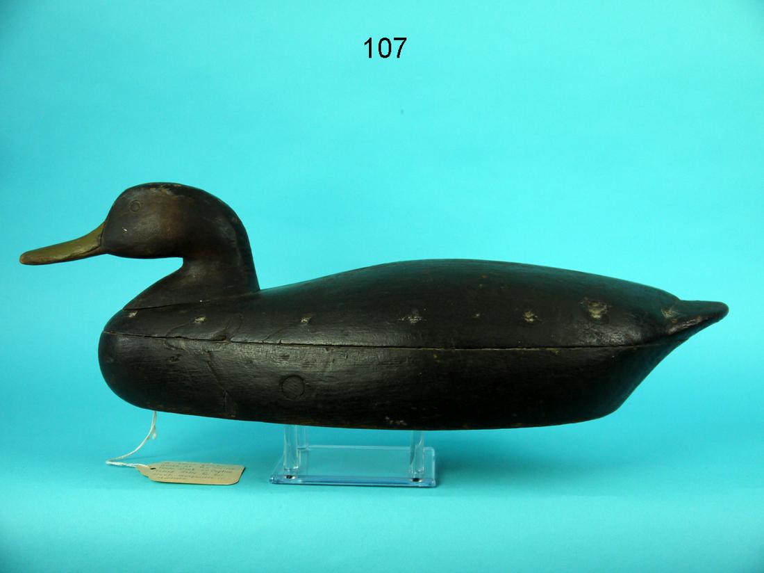 BLACK DUCK, F. KELLUM (1 of 4)
