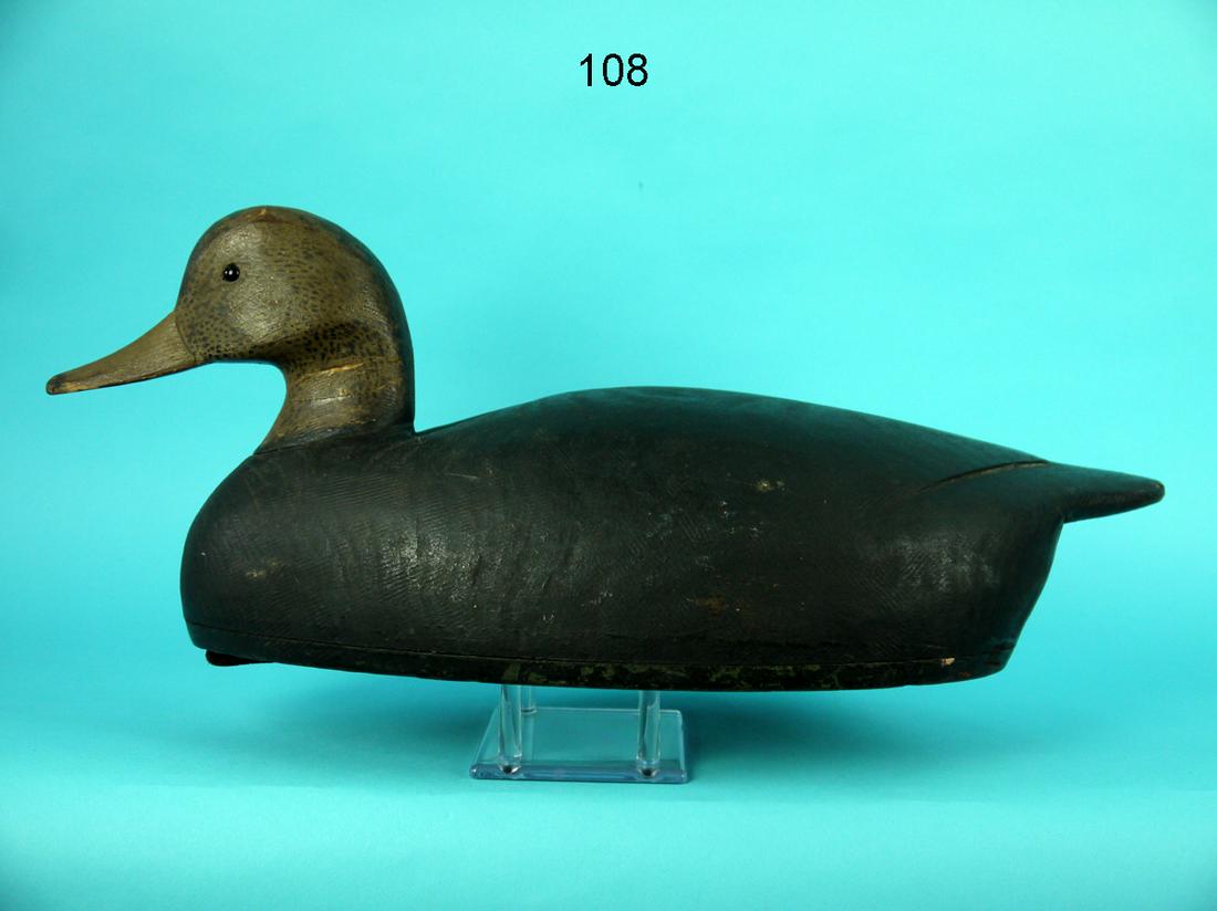 BLACK DUCK, T. GELSTON: VERY EARLY BLACK DUCK by Thomas Gelston, Quogue, NY, (1850-1924). Very good working paint and structural condition. Old repair to neck crack. Relief-carved wing tips and ice groove detail to back. Ret
