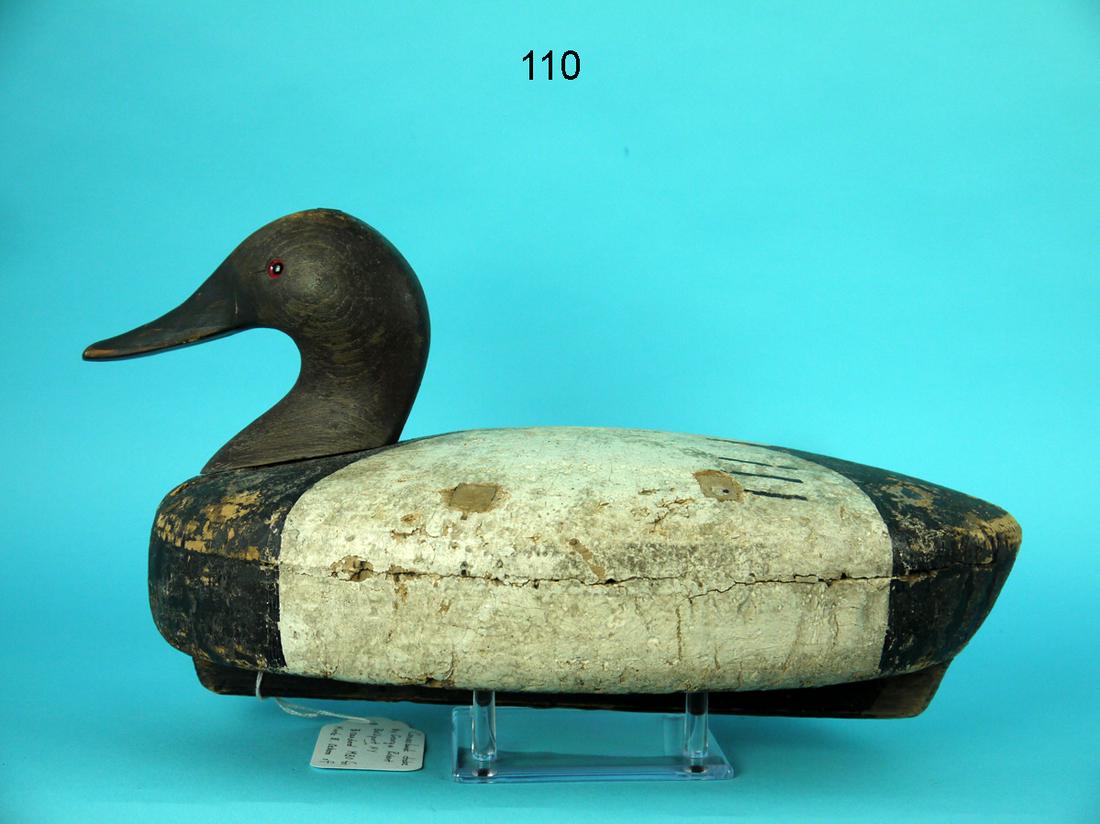CANVASBACK DRAKE, G. ROBERT (1 of 4)