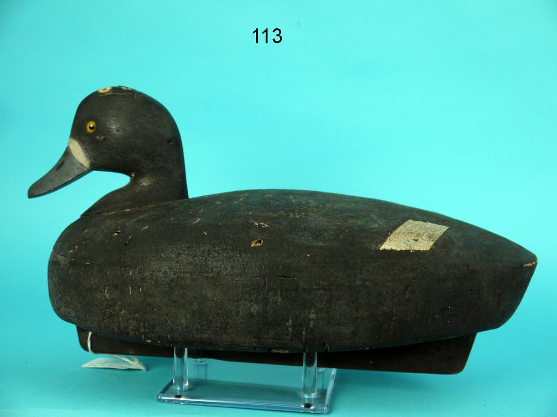 BROADBILL HEN, G. ROBERT (1 of 4)