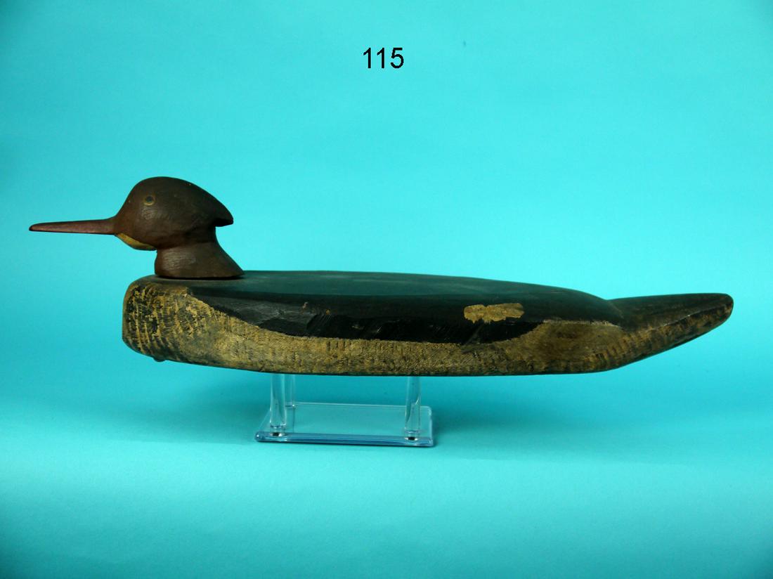 EARLY RED-BREASTED MERGANSER HEN, LONG ISLAND, NY (1 of 4)