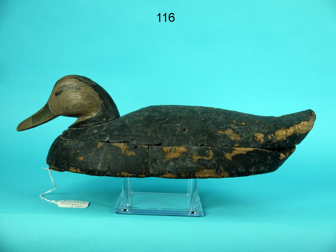 BLACK DUCK, G.W. COMBS (1 of 4)