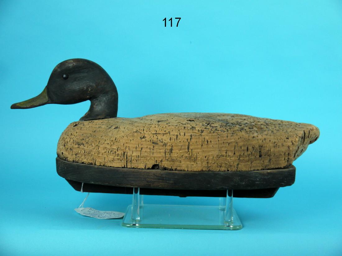 BLACK DUCK, W. CARMEN (1 of 4)